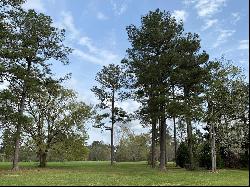 Lot 448 Chinawood Drive, Abita Springs LA 70420