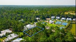 53 Sun Bear Circle, Freeport FL 32439