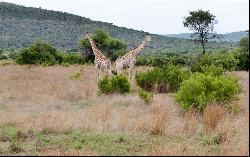 WATERBERG PRIVATE WILDLIFE RESERVE 