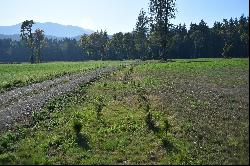 Fanny Bay Waterfront Acreage