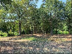 Perfect Nature Lovers Waterfront Lot in East Texas!