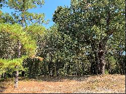 Perfect Nature Lovers Waterfront Lot in East Texas!