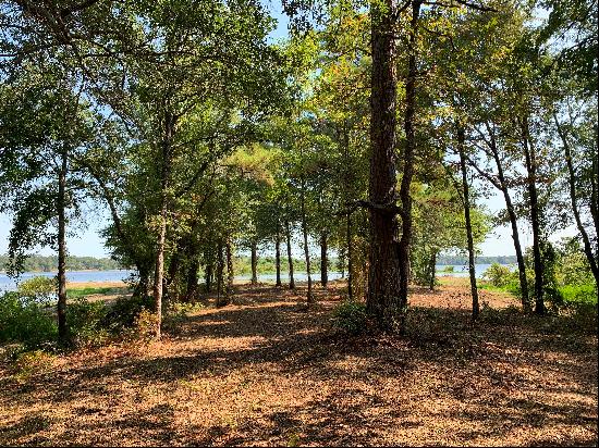 Perfect Nature Lovers Waterfront Lot in East Texas!
