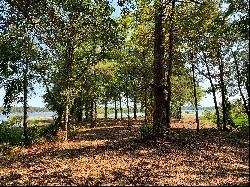 Perfect Nature Lovers Waterfront Lot in East Texas!