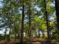 Perfect Nature Lovers Waterfront Lot in East Texas!