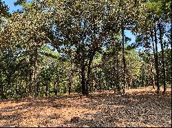 Perfect Nature Lovers Waterfront Lot in East Texas!