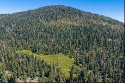 80 Acres of Pristine Land in the Middle of Plumas Eureka State Park