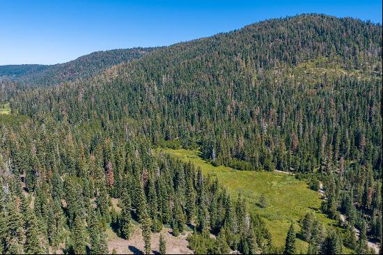 80 Acres of Pristine Land in the Middle of Plumas Eureka State Park