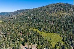 80 Acres of Pristine Land in the Middle of Plumas Eureka State Park