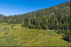 80 Acres of Pristine Land in the Middle of Plumas Eureka State Park