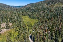 80 Acres of Pristine Land in the Middle of Plumas Eureka State Park