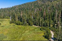 80 Acres of Pristine Land in the Middle of Plumas Eureka State Park