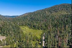 80 Acres of Pristine Land in the Middle of Plumas Eureka State Park