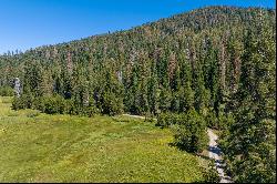 80 Acres of Pristine Land in the Middle of Plumas Eureka State Park