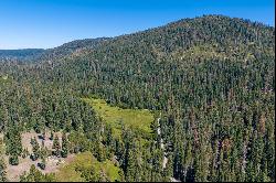 80 Acres of Pristine Land in the Middle of Plumas Eureka State Park