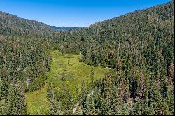 80 Acres of Pristine Land in the Middle of Plumas Eureka State Park