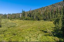 80 Acres of Pristine Land in the Middle of Plumas Eureka State Park