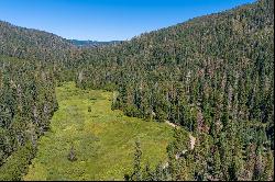 80 Acres of Pristine Land in the Middle of Plumas Eureka State Park