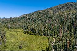 80 Acres of Pristine Land in the Middle of Plumas Eureka State Park