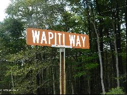 Wapiti Way, Eagles Mere PA 17731