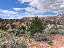 49 W RYAN CT #2, Moab UT 84532