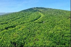 One-of-a-kind location on Okemo Mountain