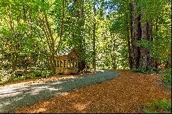 Retreat to Island Farm, San Gregorio