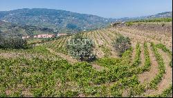 Vineyard, for sale, in Peso da Régua, Douro Valley, Portugal