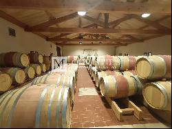 For sale Vineyard of 9 ha of AOC Haut Médoc - Quality production facilities