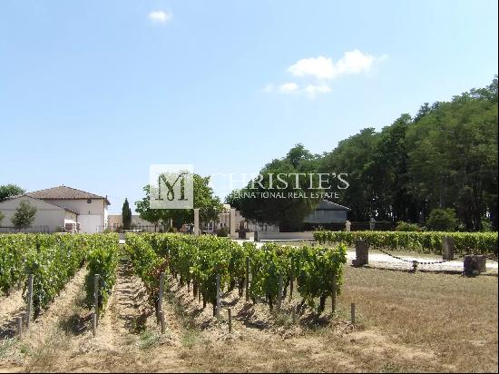 For sale Vineyard of 9 ha of AOC Haut Médoc - Quality production facilities