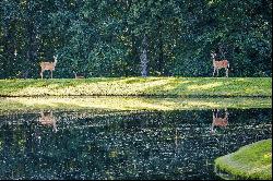 Alders Glen, East Tennessee's premier residential private neighborhood