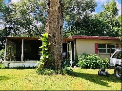 9641 NE 28th Avenue, Anthony FL 32617