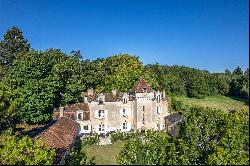 Beautiful 850 m² Chateau with pool and outbuildings near Périgueux