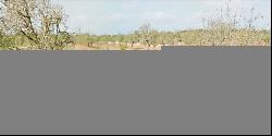 Rustic plot for sale between Santanyi and Ses Salines in the sou, Santanyí 07650