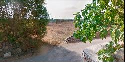 Rustic plot for sale between Santanyi and Ses Salines in the sou, Santanyí 07650