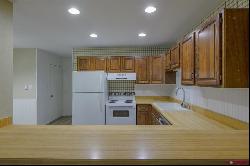 112 Camino Del Rio Unit 23, Gunnison CO 81230