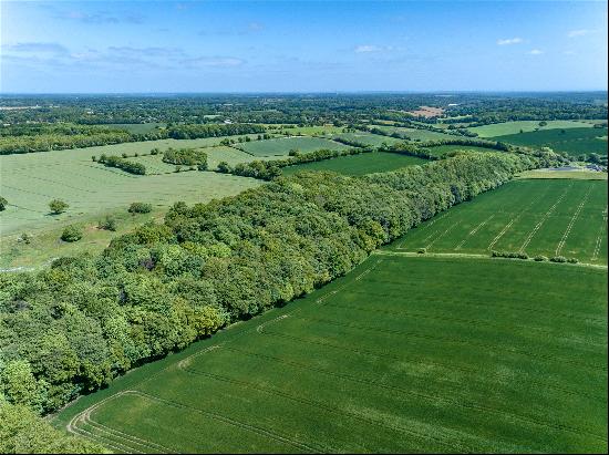 Lot 10 | Stonehill Wood, Great Missenden, Buckinghamshire, HP16 9LZ