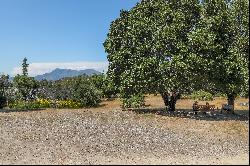 4100 Petrified Forest Road, Calistoga, CA 94515