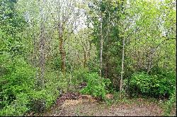 Mardell (Lot 12) Ct, Bainbridge Island, WA 98110