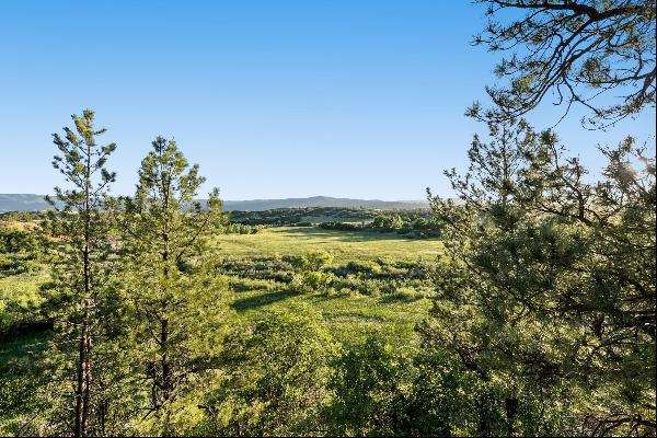 Custom Home on 7.4 acre Lot Overlooking West Plum Creek and the Front Range