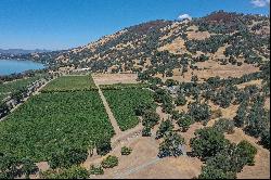 Ceago Vineyard Estate Parcel