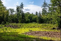 SOUTHWESTERN NH LARGE ACREAGE INVESTMENT/TIMBERLAND