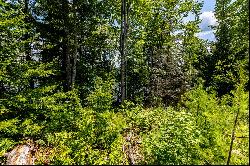 SOUTHWESTERN NH LARGE ACREAGE INVESTMENT/TIMBERLAND