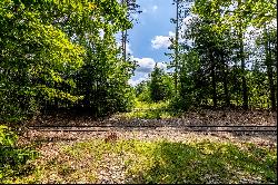 SOUTHWESTERN NH LARGE ACREAGE INVESTMENT/TIMBERLAND