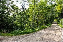 SOUTHWESTERN NH LARGE ACREAGE INVESTMENT/TIMBERLAND