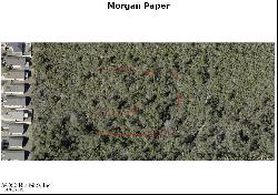 Morgan Paper Street, Deltona FL 32738