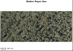 Walter(Paper) Avenue, Deltona FL 32738