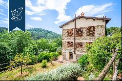 Charming farmhouse with a pool for sale among Florence's hills