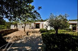 Fabulous Finca in Santa Gertrudis