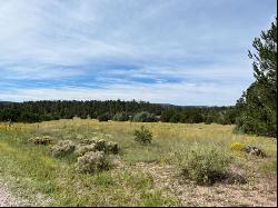 Lot 9 Copperweed Road, Ramah NM 87321